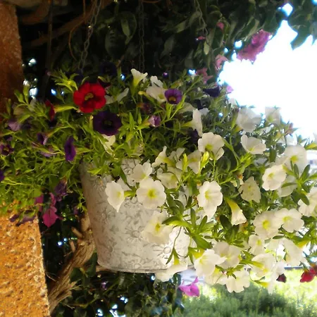 Su Paradisu * Olbia